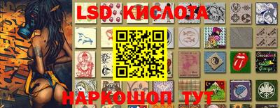 тгк Кингисепп