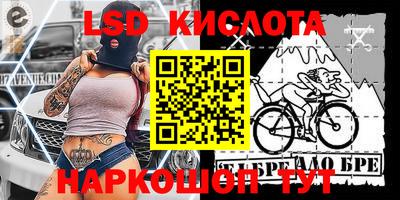 шишки Кимры