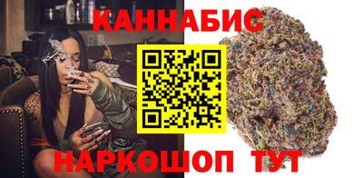 тгк Кингисепп