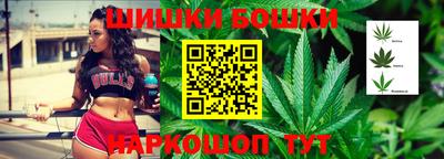тгк Кингисепп
