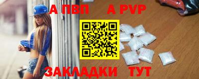 тгк Кингисепп