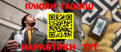шишки Кимры