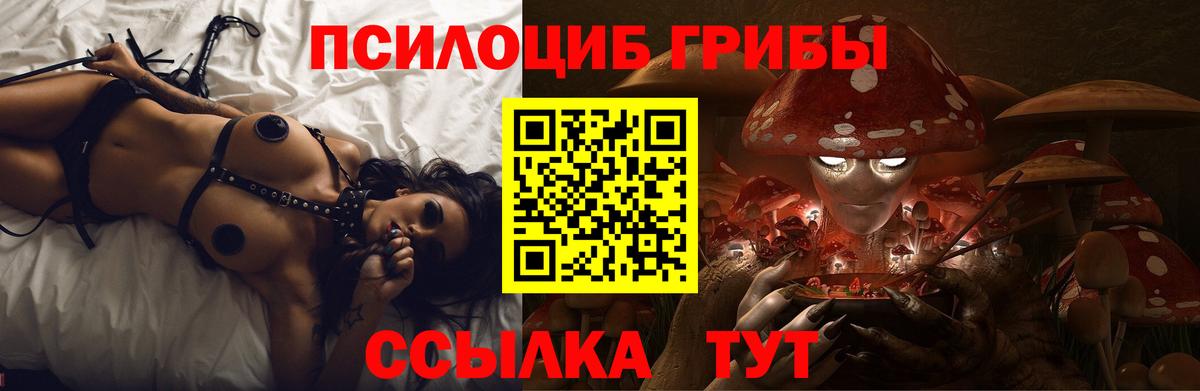 Южноуральск  Псилоцибиновые грибы мицелий  Вход с VPN 